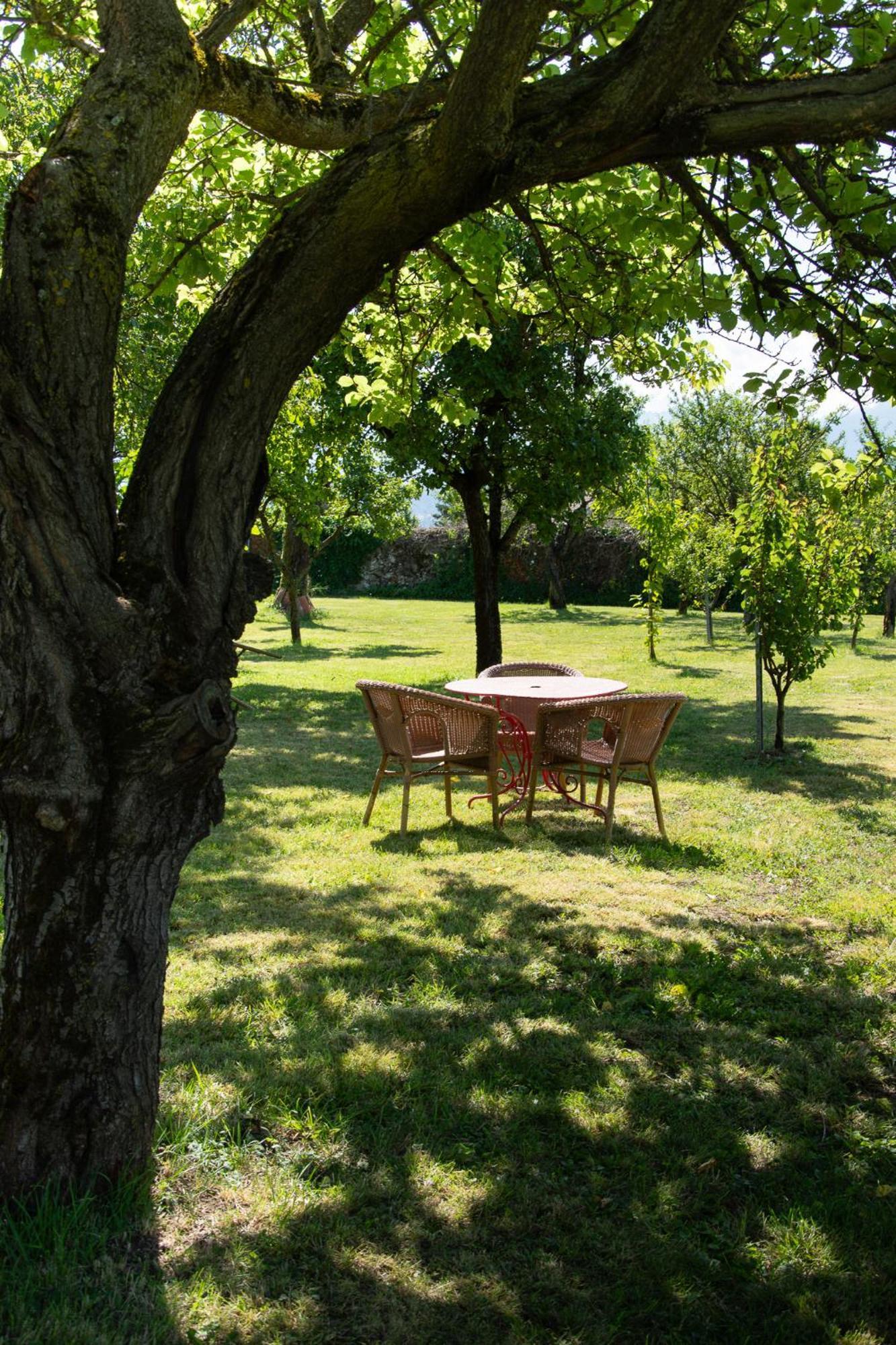 Domaine Des Granges Longes Appartement Les Marches Buitenkant foto